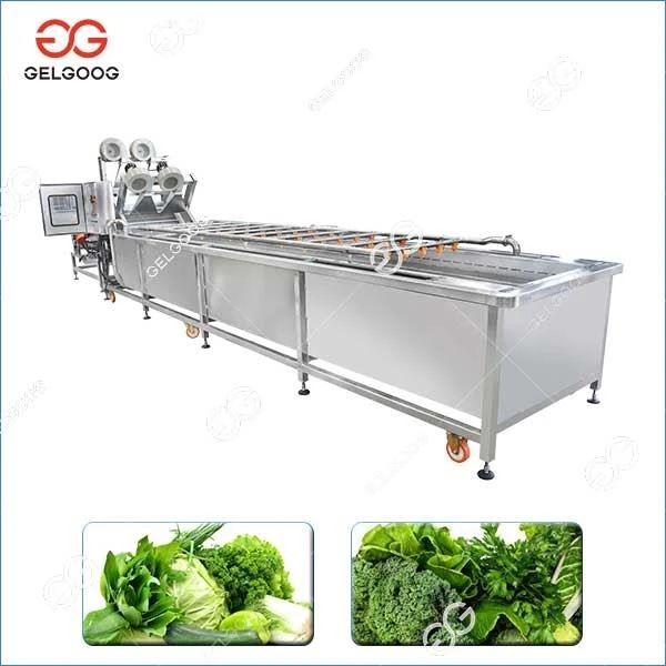 Bubble Leaf Vegetable Washing Machine